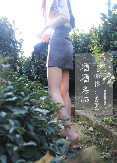 警苑神掌_BD国语影视在线观看